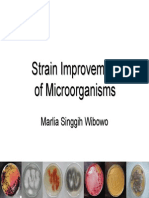 Strain Improvement of Microorganisms PDF