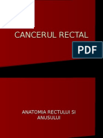 Cancerul Rectal