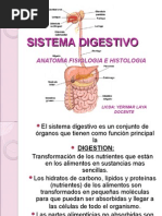 Sistema Digestivo. 2015 Completo