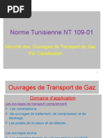 4 - Ouvrage de Transport de Gaz