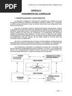 Fundamentos Del Curriculo