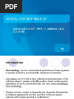 Application of rDNA in Animal Cell Culture (Animal Biotech)