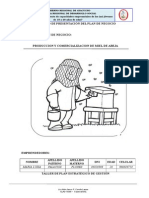 Plan de Negocio Miel de Abeja