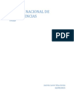 Ensayo Sistema Nacional de Competencias