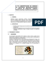 Labo4-Microbiologia Sanitaria 2