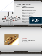 Curso Particulas Magneticas