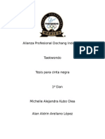 Alianza Profesional Dochang Insutrial