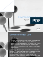 Environmental Laws: Alyssa V. Pabustan