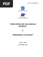 Principios de Seguridad Minera