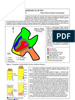 Planta Funcional Cidade