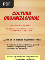 Cultura Organizacional