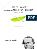 Tema 1 Psicobiologia