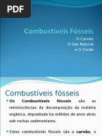 Combustíveis Fósseis