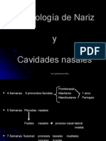 Embriologia de Nariz y Cavidades Nasales