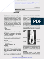 Anatomia Del Pie Bovino