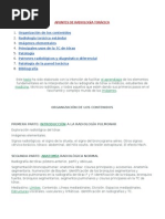 Apuntes de Radiologia Toracica