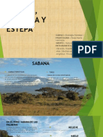 Sabana Pradera y Estepa