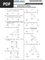 01PD Trigon PDF