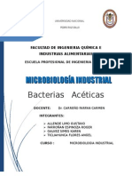 Bacterias Aceticas