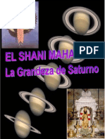 Shani 2014 PDF