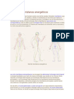 La Red de Meridianos Energéticos