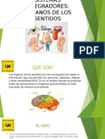 Presentacion Organos de Los Sentidos Ayf