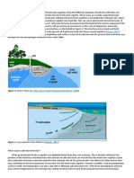 What Is Saltwater Intrusion