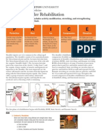 E C I R P: Shoulder Rehabilitation