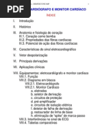 Ecg Interpretaçao PDF