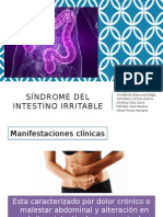 Síndrome Intestino Irritable