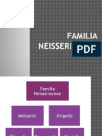 Familia-Neisseriaceae