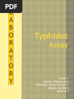 Typhidot Assay