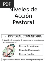 Niveles de Accion Pastoral