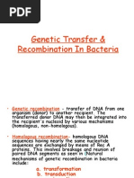 Genetic Recombination