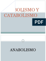 Anabolismo y Catabolismo