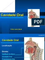 Aula Cavidade Oral