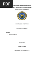 Investigacion Operativa II Consulta