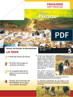 Boletin Papa Panao PDF