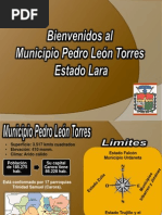 Presentación Municipio Torres