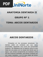 Exposicion Dentaria