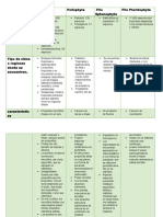 Cuadro de Las Plantas Vasculares.