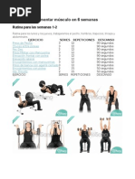 La Rutina para Aumentar Músculo en 6 Semanas