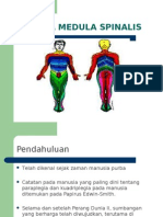 Trauma Medula Spinalis