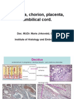 1619 - MJ-Decidua, Chorion, Placenta, Umbilical Cord