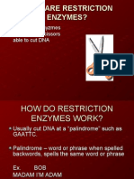 Restriction Enzymes