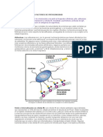 Clasificación de Los Factores de Patogenicidad