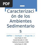 Ambientes Sedimentarios