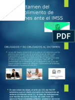 Dictamen Imss 