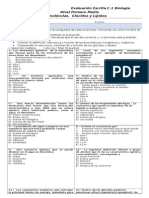 Prueba 2 Glucidos y Lipidos Biologia 1°medio