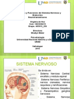 Estructura y Funcionamiento Del Sistema Nervioso, Endocrino, Neorutrasmisores